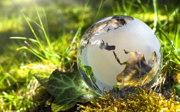 Biologijos olimpiados savivaldybės etape pirma ir dvi antros vietos!