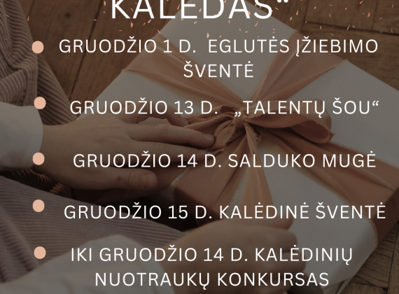 Kalėdinių renginių ciklas „Išpakuojam Kalėdas“2