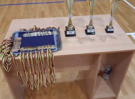 Vilniaus regiono profesinių mokymo įstaigų vaikinų tinklinio varžybose pirmoji vieta!4